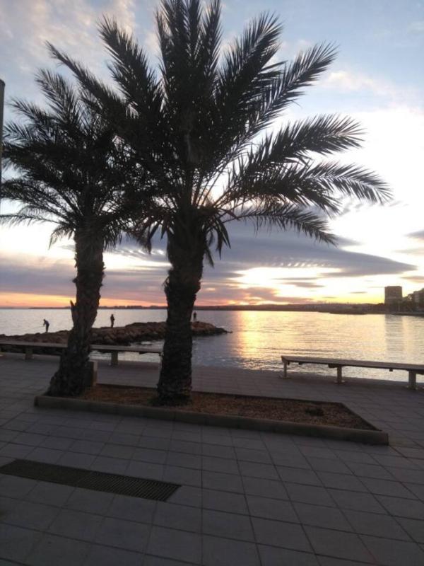 Modern apartment in Torrevieja with terrace - 58 m² - image 14