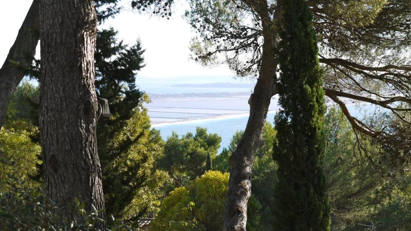 Appartement confortable à Hyères avec piscine privée - image 12
