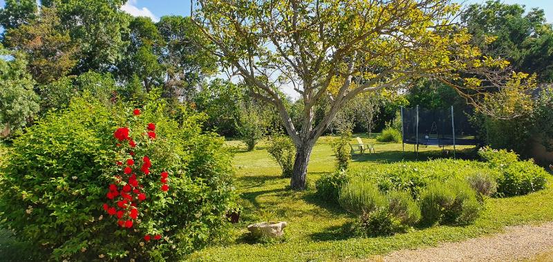 Maison charmante à Narbonne avec piscine et jardin - image 5