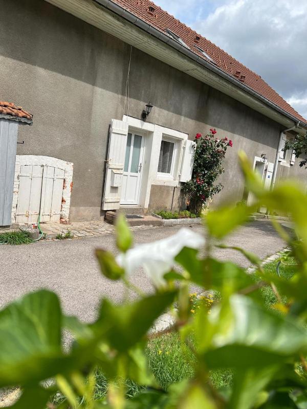 Appartement confortable à Gérardmer 40 m² proximité pistes - image 22