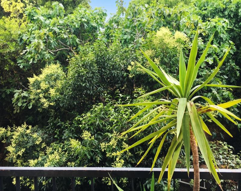 Appartement spacieux à Montpellier avec jardin 78 m² - image 8