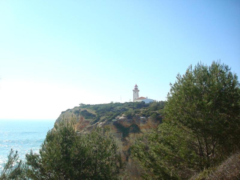 Charming House in Carvoeiro + Pool - image 19