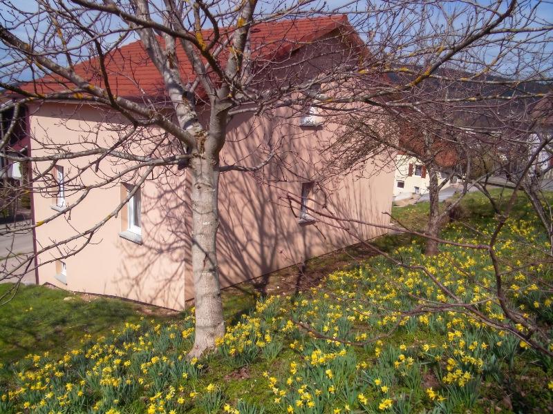 Maison spacieuse près de Gérardmer avec vue sur le lac - image 2