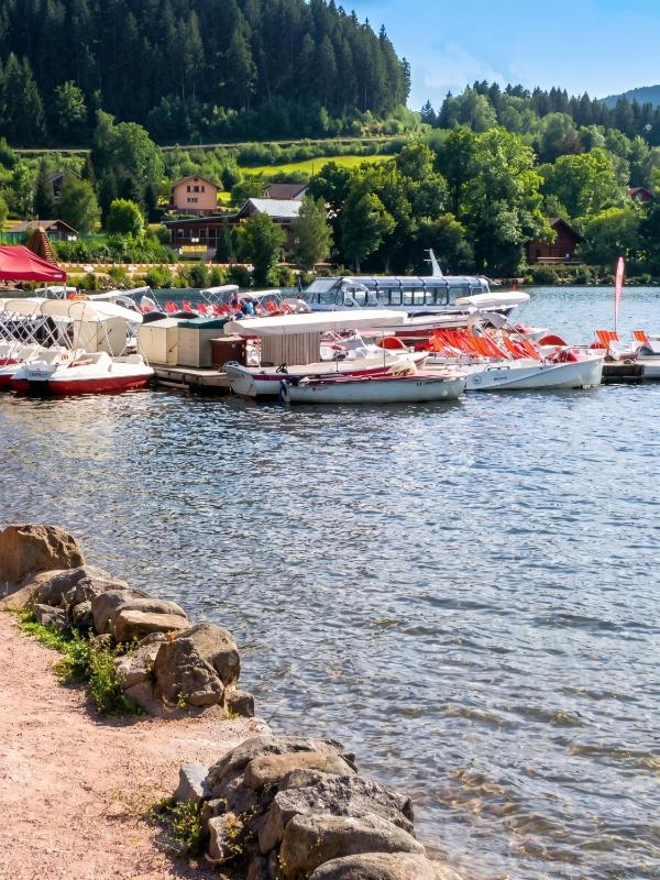 Maison spacieuse près de Gérardmer avec vue sur le lac - image 5
