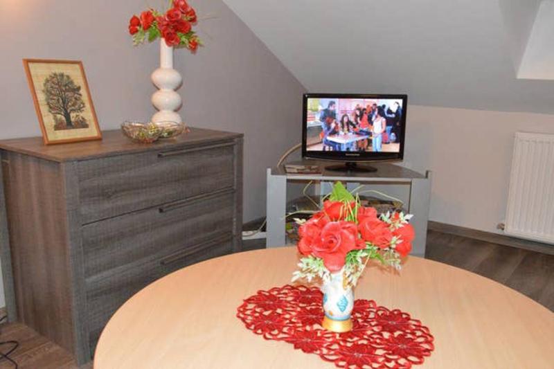 Appartement chaleureux à Gérardmer avec parking privé. - image 37