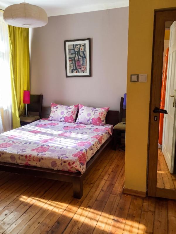 Spacious House in Central Sofia with Garden - image 9