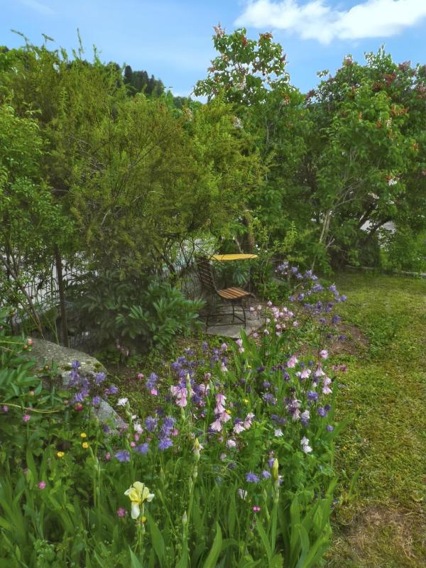 Studio convivial à Gérardmer 35 m² avec vue sur la montagne - image 11