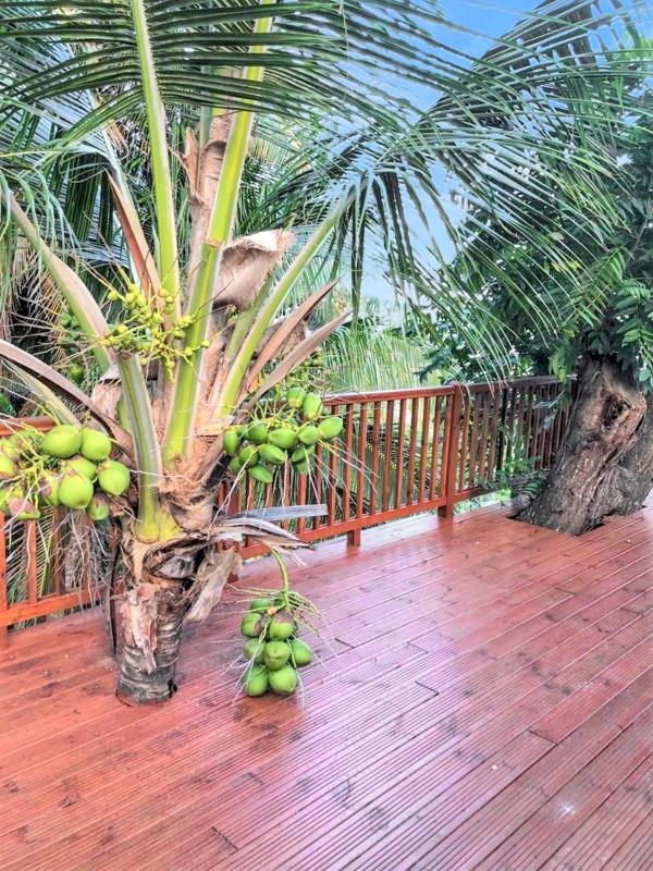 Maison accueillante à La Trinité avec piscine partagée 57 m² - image 12