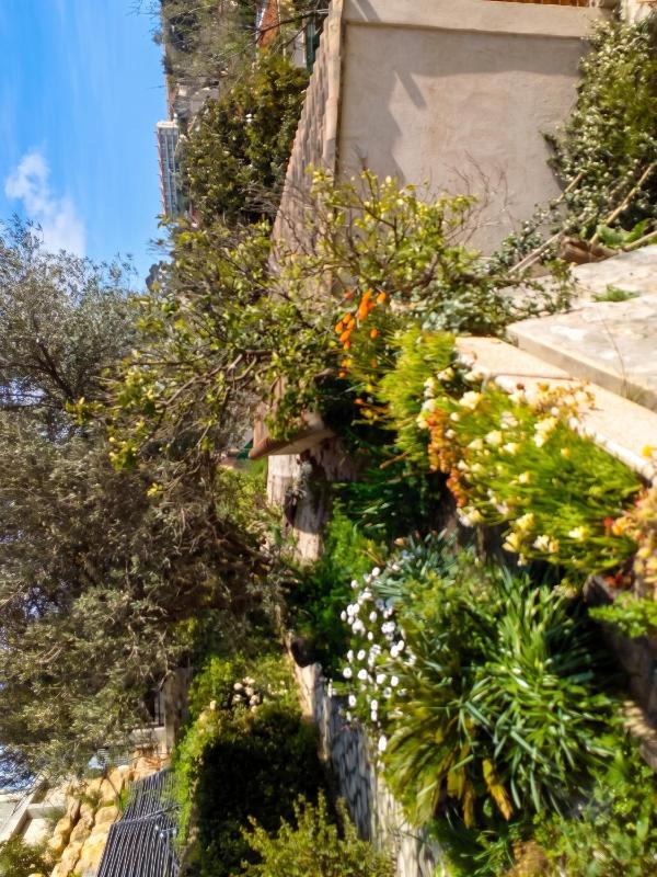 Maison accueillante à Toulon - Jardin privé 90 m² - image 11