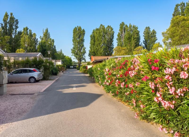 Bungalow Confortable à Fréjus avec Piscine Partagée - image 28