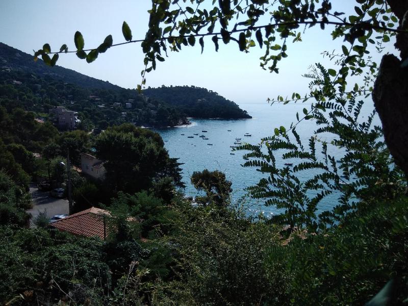Charmant appartement à Cavalaire-sur-Mer avec terrasse - image 4