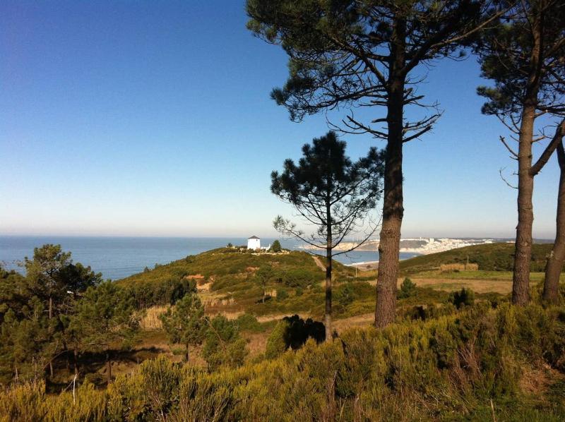Charming House in Nazaré with Fireplace - image 16