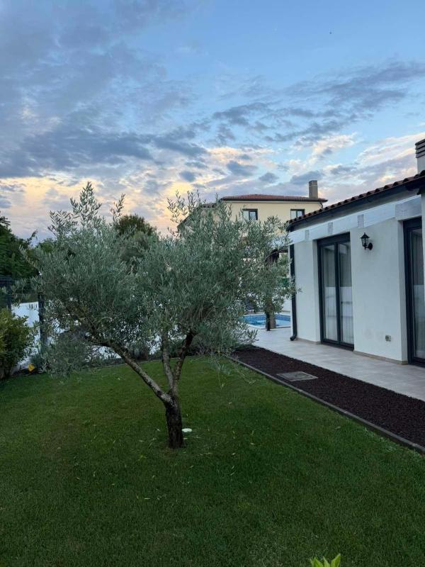Villa Nostra - image 42