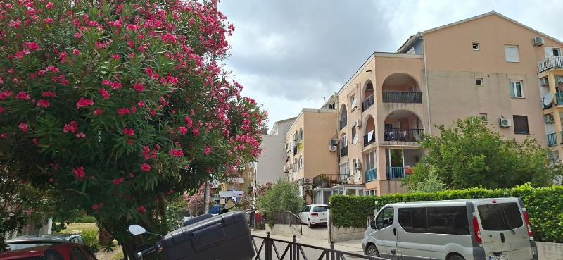 Suncani apartman 1-Vila Amfora - image 8