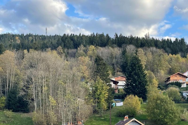 Bright nest with mountain view in Gérardmer - image 7