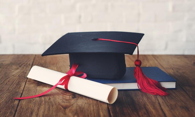 Hotel University - image 13