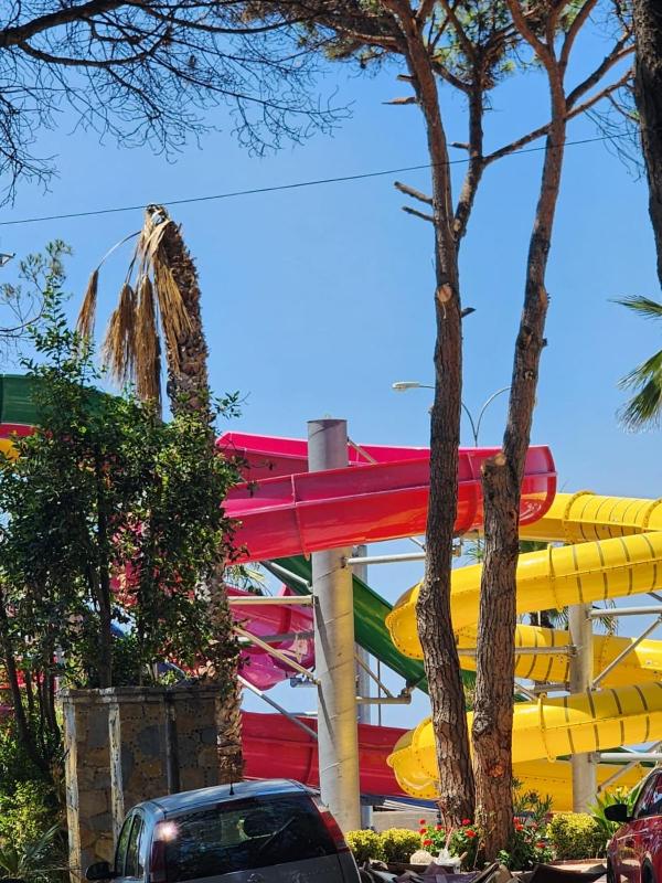 Golden Pine Retreat - Beachfront Apartment - image 7