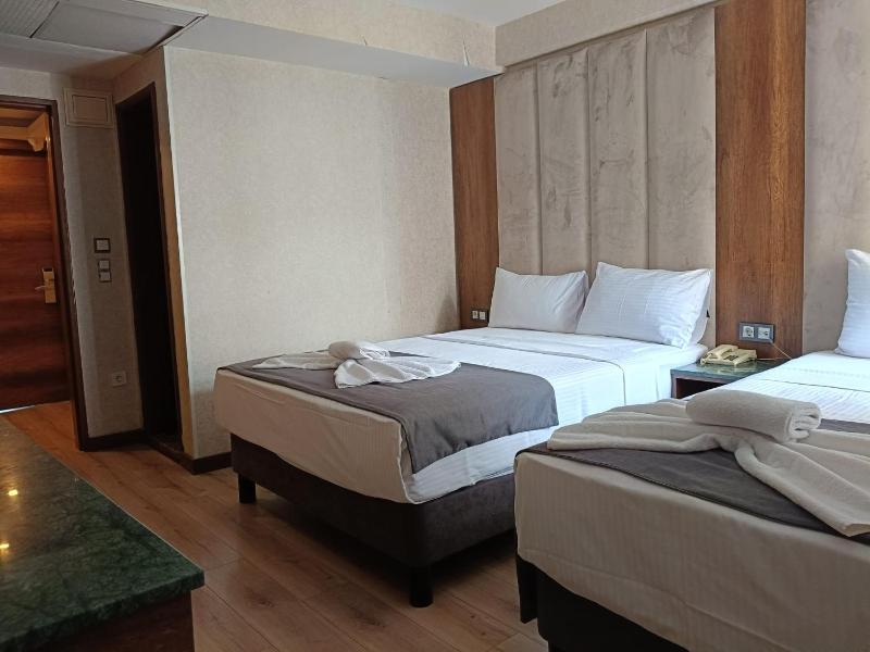 Hotel Buyuk Paris - image 16