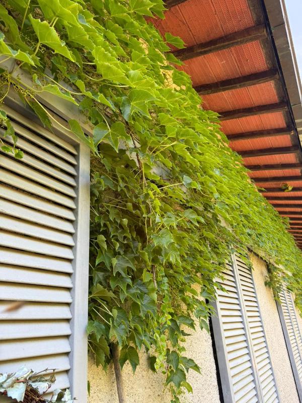 Appartamento in Villa con Piscina - image 24