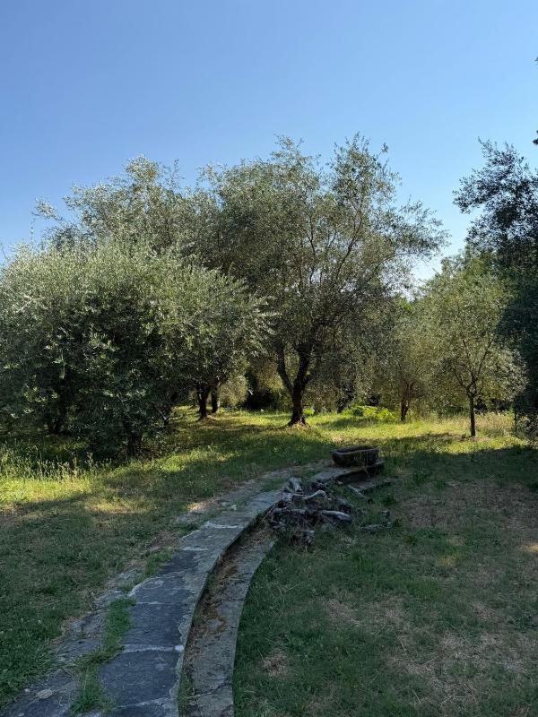 Appartamento in Villa con Piscina - image 42