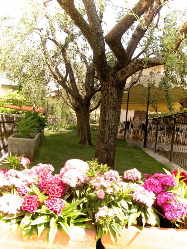 Hotel Azzurra - image 19