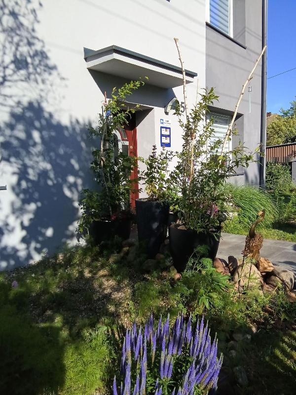 Studio SeaSunflowers Orowo Vintage Guest House - Secret Garden near Sopot - image 4