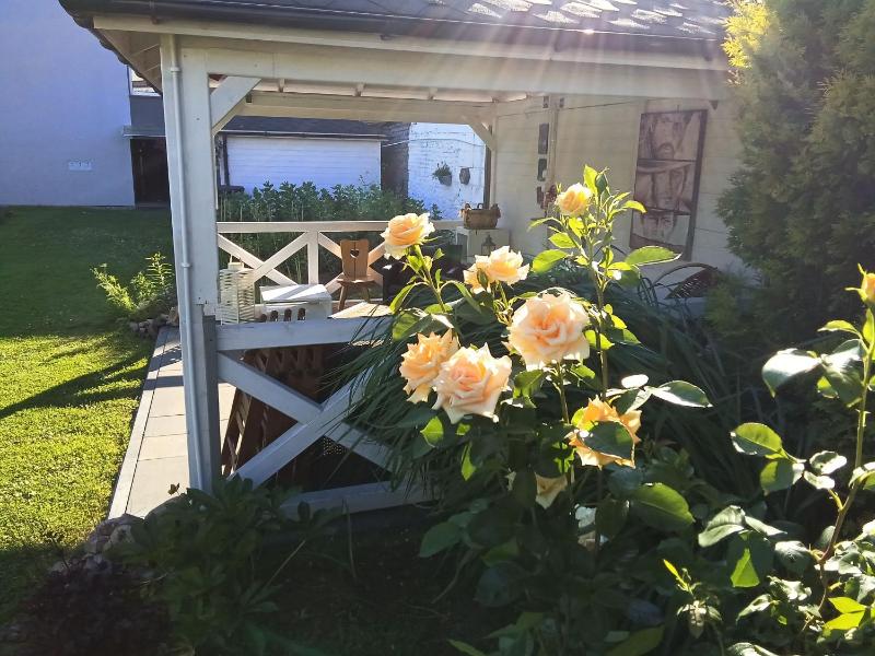 Studio SeaSunflowers Orowo Vintage Guest House - Secret Garden near Sopot - image 31