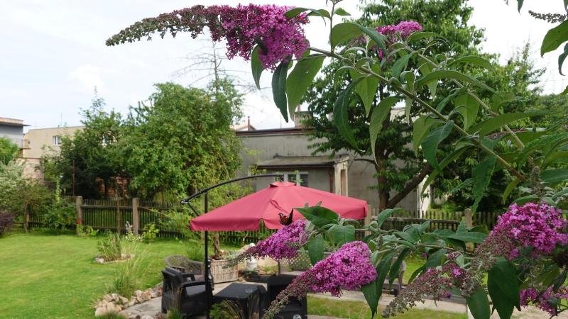 Studio SeaSunflowers Orowo Vintage Guest House - Secret Garden near Sopot - image 19