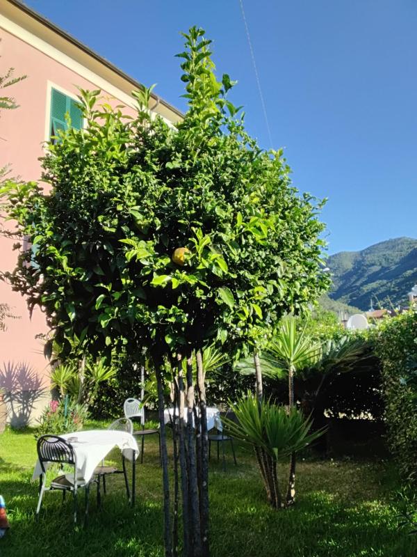 B&B Fattore - image 27