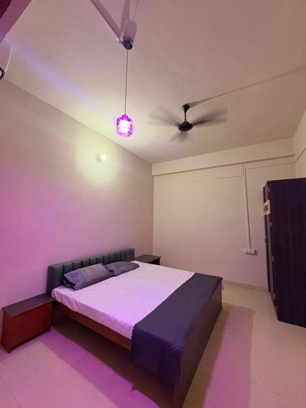 Paradise Homestays - image 5