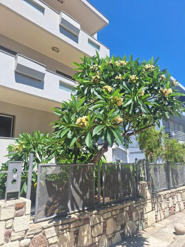 Captain Yiannis Studios & Apartments - image 40