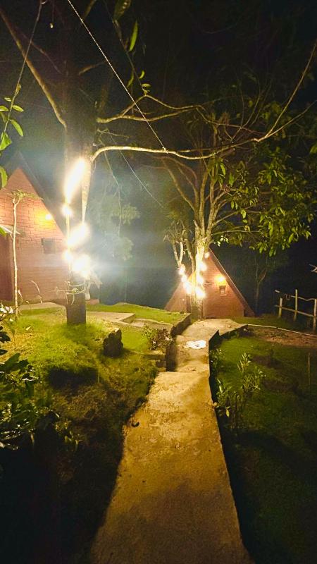 Green Forest Cabanas - Ella - image 35