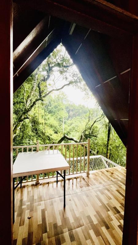 Green Forest Cabanas - Ella - image 39