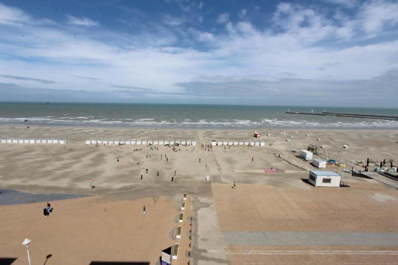 Ibis 0601 - image 6