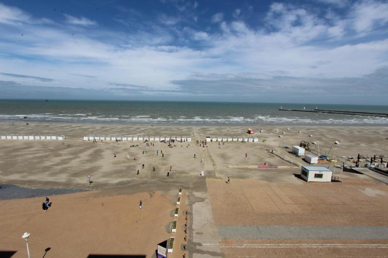 Ibis 0601 - image 8