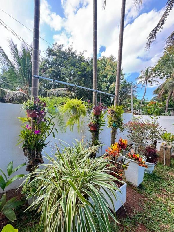 Oya Addara Home Stay - ඔය අද්දර - image 7