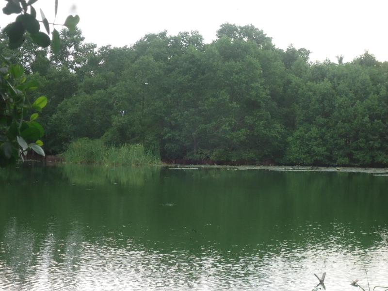 Keshan Villa - image 23