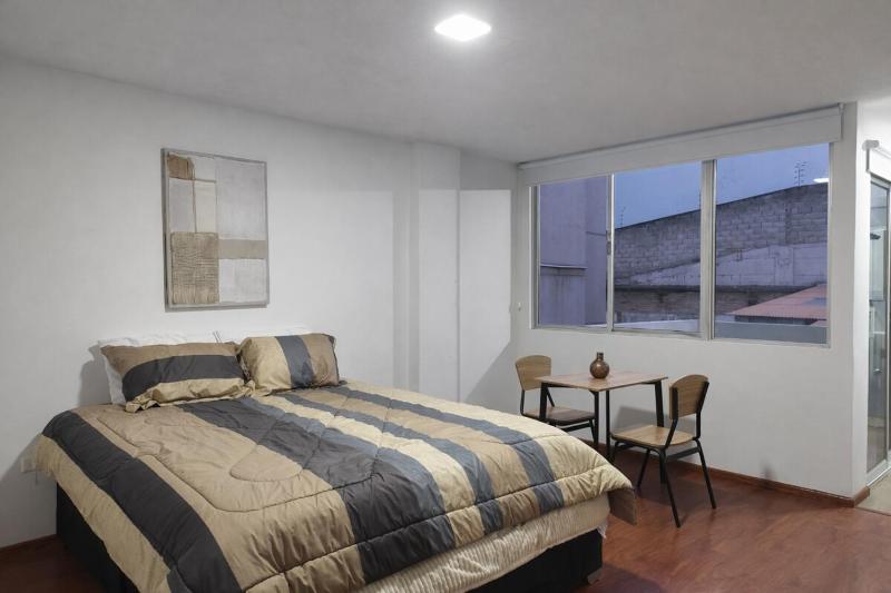 Studio with private terrace La Pradera Metro - image 4