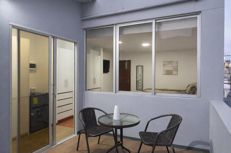 Studio with private terrace La Pradera Metro - image 3