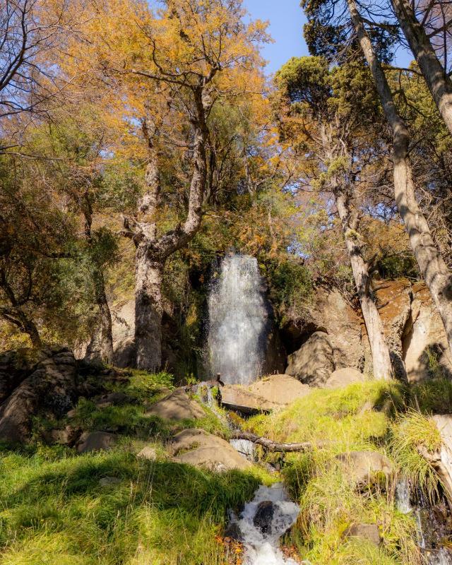 Depto Nómades I Con hermosa Vista a la Cascada - Ayres del Bosque Alojamientos - image 29