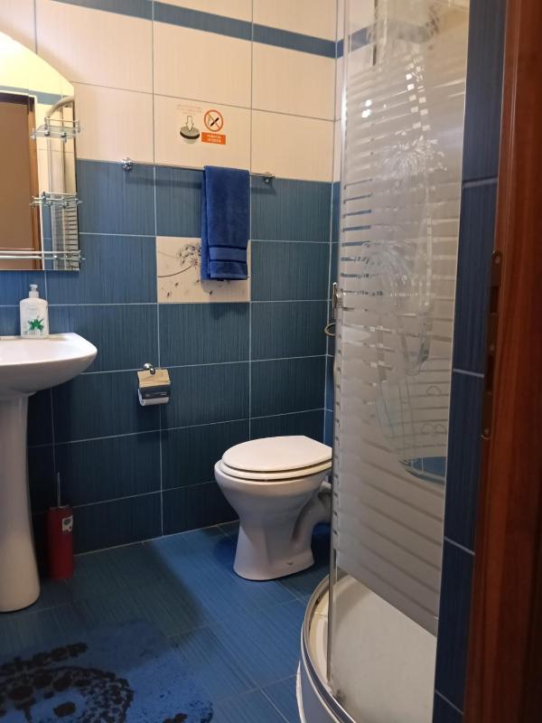 CAZARE AL&MA HOUSE Sibiu - image 12
