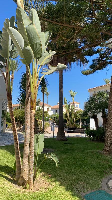 SALARENA Vera Coast - image 20