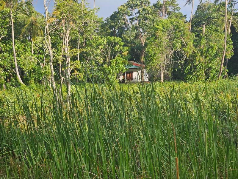 Mendis Villa - image 46