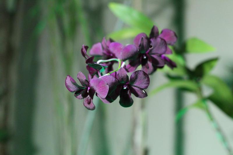 Pousada Do Mineiro - image 11