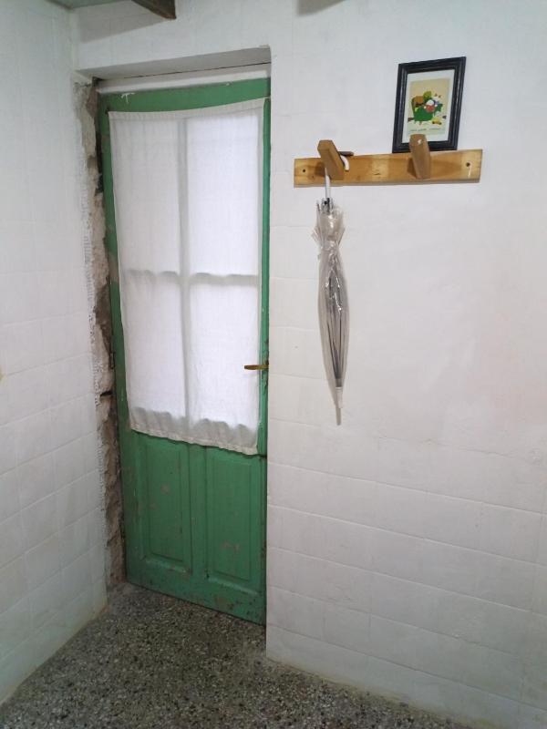 Lo del gato Fermin - image 2