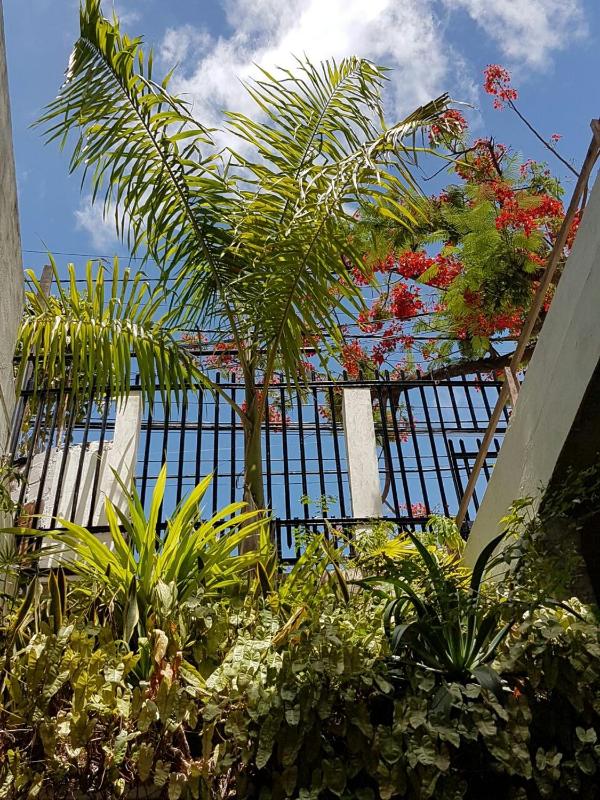 casa-de-arigoffe