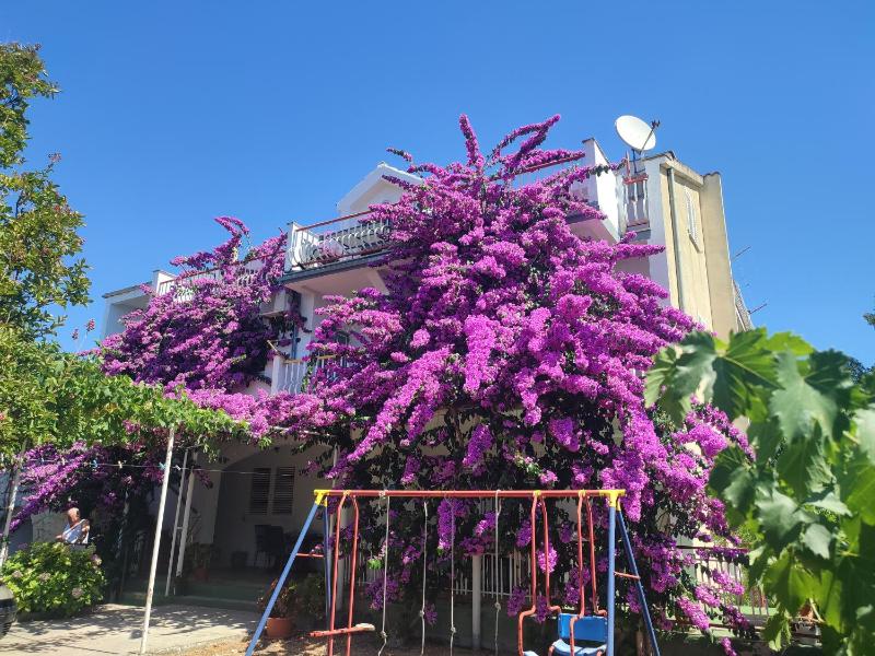 Guest House Neda - image 49