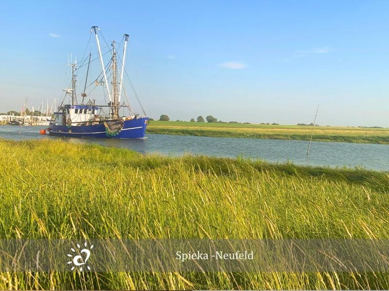 Ferienwohnung de Böök Wattenmeer & Wohlfühlen - image 28