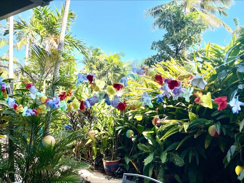Coral Sea Villas - image 17
