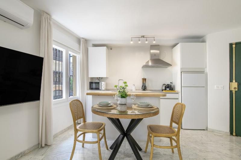 Vicente Espinel Apartment - image 23
